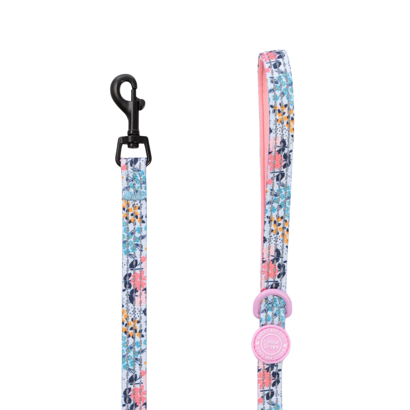 Trail & Glow Lightweight Mini Dog Lead 5ft - Colour Drops - Spring Dreams - Bailey and Coco (UK)