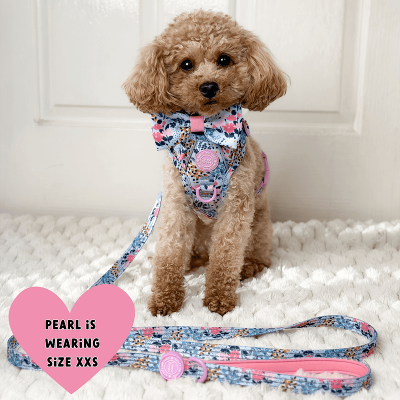 Trail & Glow Lightweight Mini Dog Lead 5ft - Colour Drops - Spring Dreams - Bailey and Coco (UK)