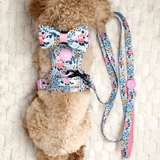 Trail & Glow Lightweight Mini Dog Lead 5ft - Colour Drops - Spring Dreams - Bailey and Coco (UK)