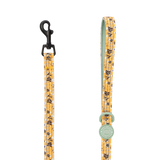 Trail & Glow Lightweight Mini Dog Lead 5ft - Colour Drops - Wanna - Bee - Bailey and Coco (UK)