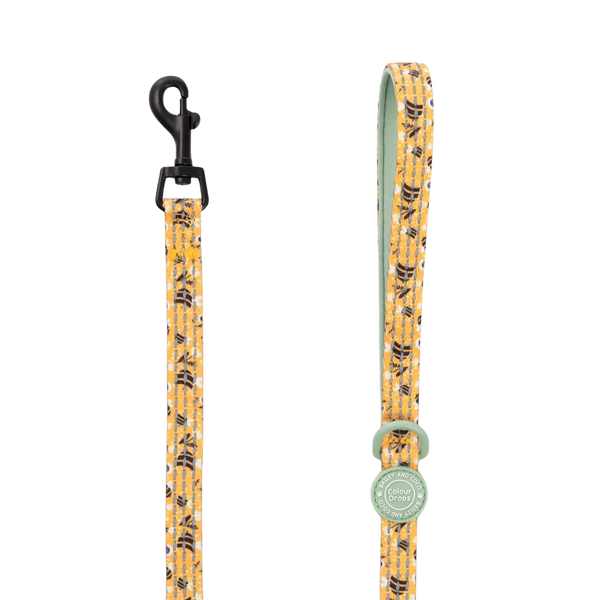 Trail & Glow Lightweight Mini Dog Lead 5ft - Colour Drops - Wanna - Bee - Bailey and Coco (UK)