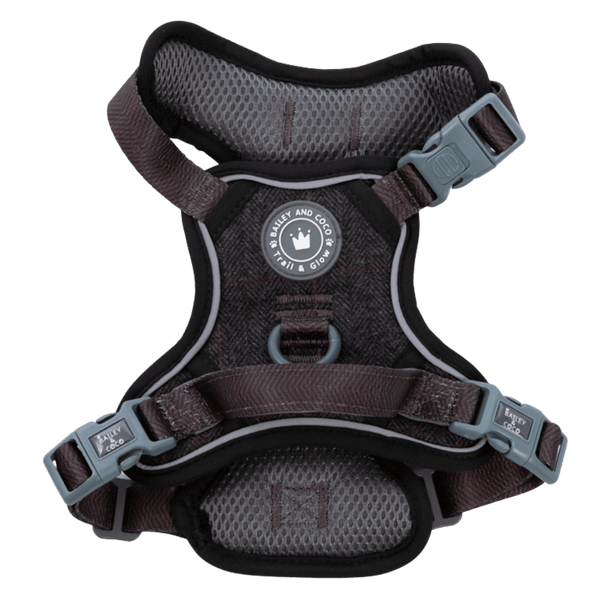 Trail & Glow Tweed Dog Harness - Colour Drops - Charcoal Tweed - Bailey and Coco (UK)