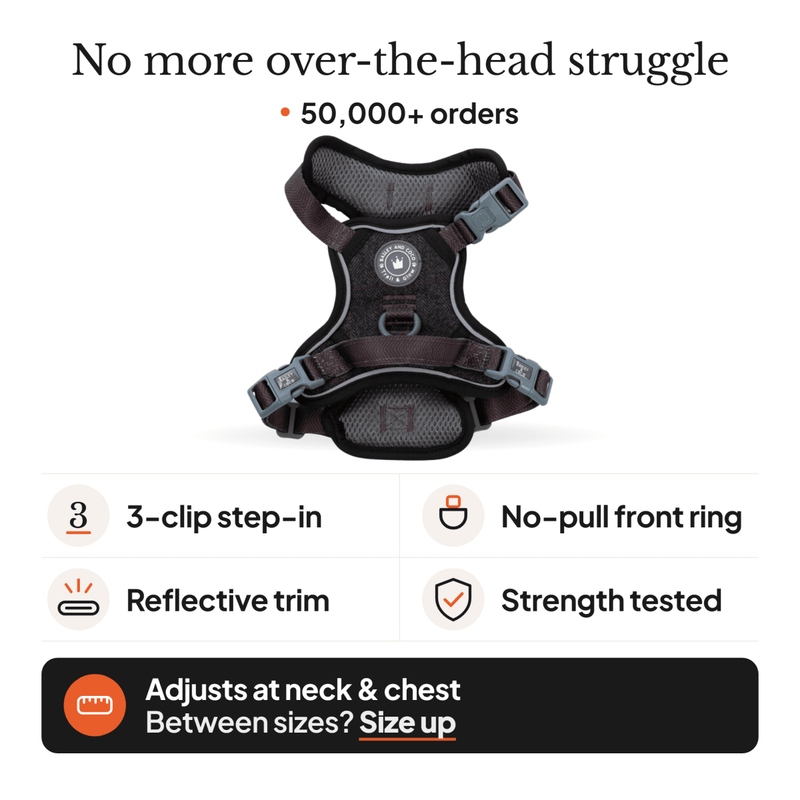Trail & Glow Tweed Dog Harness - Colour Drops - Charcoal Tweed - Bailey and Coco (UK)