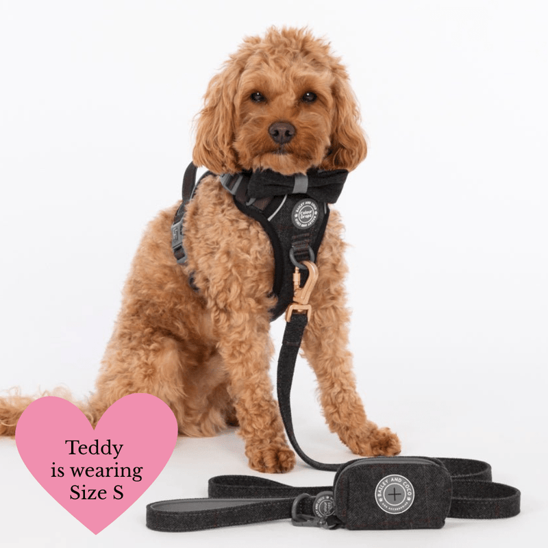 Trail & Glow Tweed Dog Harness - Colour Drops - Charcoal Tweed - Bailey and Coco (UK)