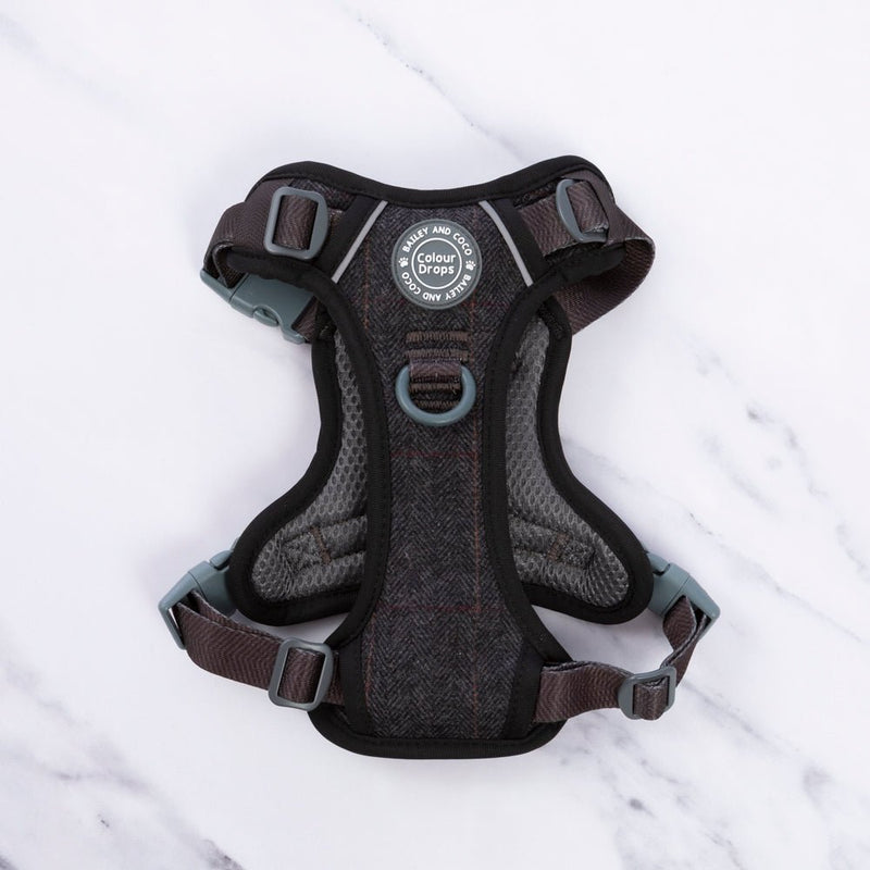 Trail & Glow Tweed Dog Harness - Colour Drops - Charcoal Tweed - Bailey and Coco (UK)