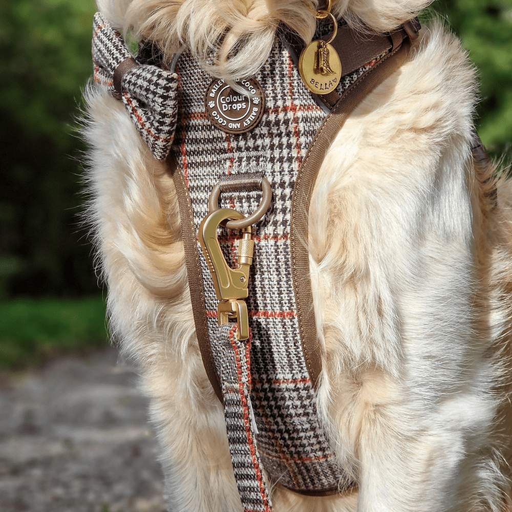 Trail & Glow Tweed Dog Harness - Colour Drops - Heritage Plaid - Bailey and Coco (UK)