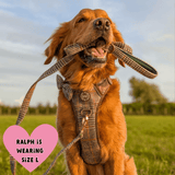 Trail & Glow Tweed Dog Harness - Colour Drops - Heritage Plaid - Bailey and Coco (UK)