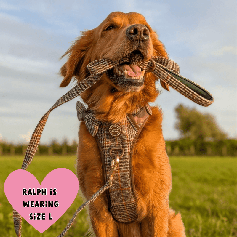 Trail & Glow Tweed Dog Harness - Colour Drops - Heritage Plaid - Bailey and Coco (UK)