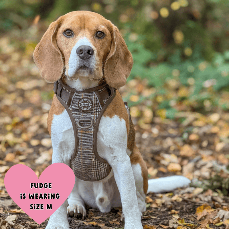 Trail & Glow Tweed Dog Harness - Colour Drops - Heritage Plaid - Bailey and Coco (UK)