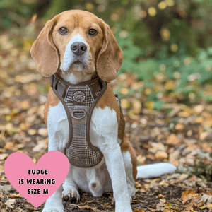 Trail & Glow Tweed Dog Harness - Colour Drops - Heritage Plaid - Bailey and Coco (UK)