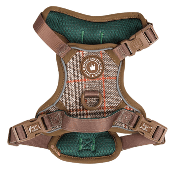 Trail & Glow No-Pull Harness - view 2