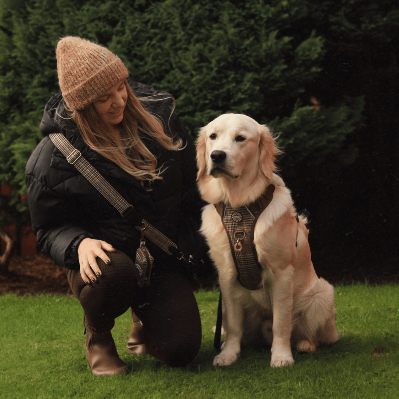 Trail & Glow Tweed Dog Harness - Colour Drops - Heritage Plaid - Bailey and Coco (UK)