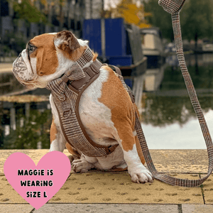 Trail & Glow Tweed Dog Harness - Colour Drops - Heritage Plaid - Bailey and Coco (UK)