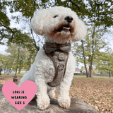 Trail & Glow Tweed Dog Harness - Colour Drops - Heritage Plaid - Bailey and Coco (UK)