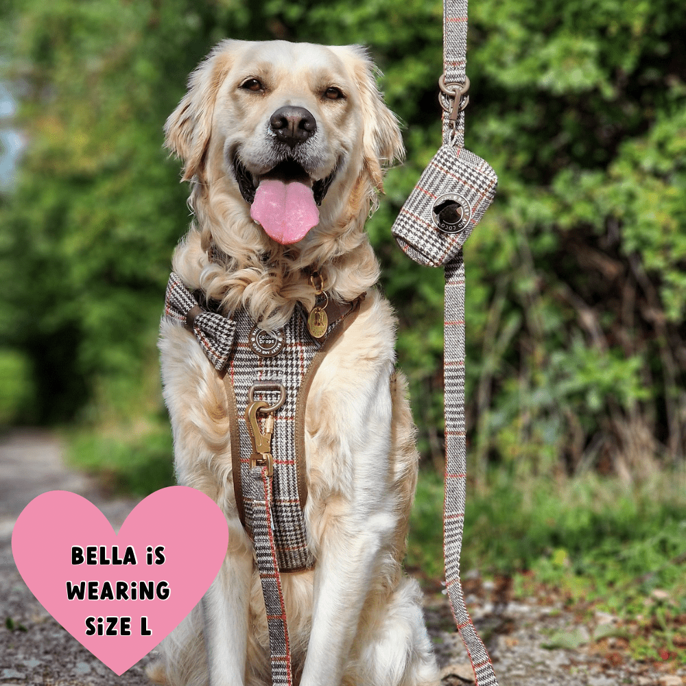Trail & Glow Tweed Dog Harness - Colour Drops - Heritage Plaid - Bailey and Coco (UK)