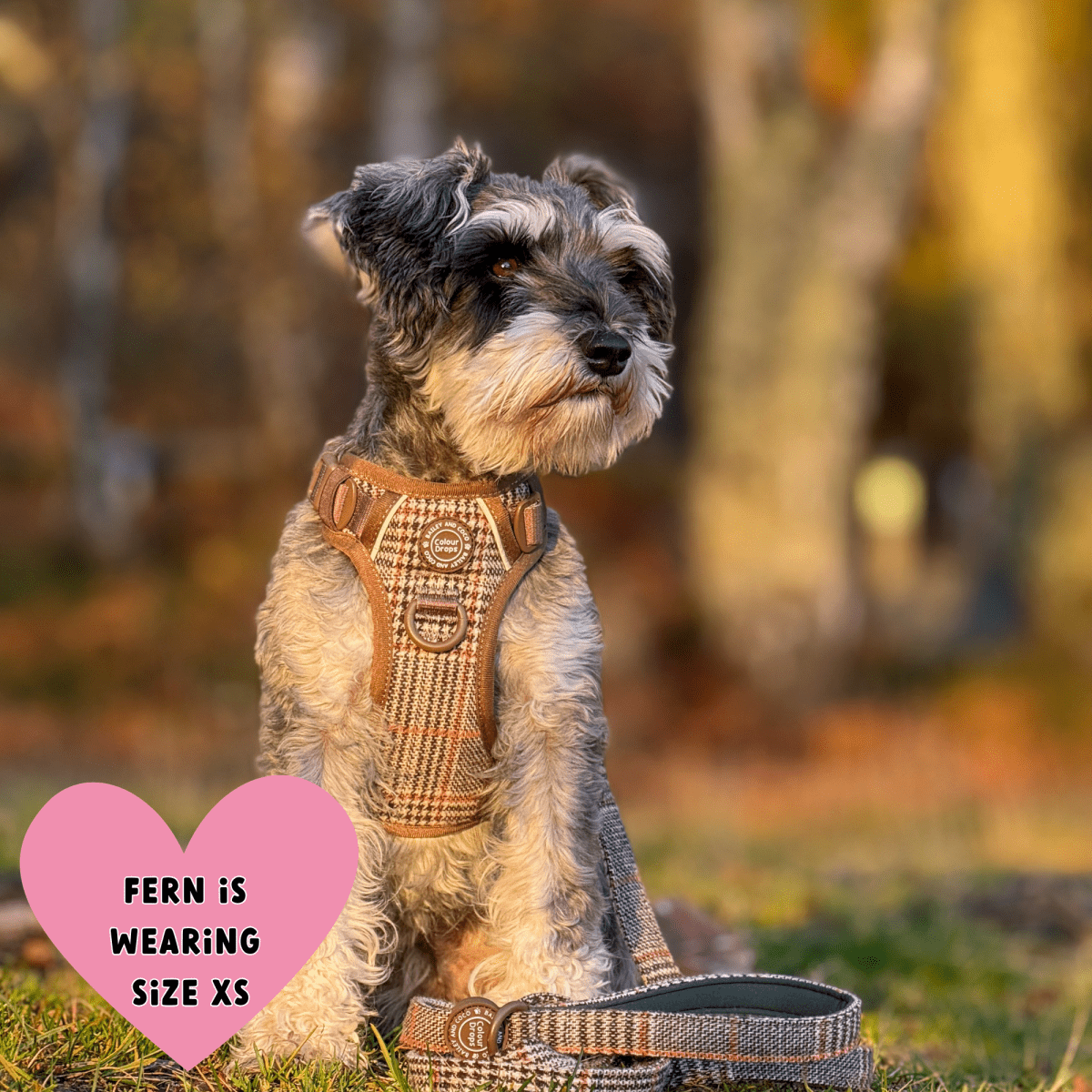 Trail & Glow Tweed Dog Harness - Colour Drops - Heritage Plaid - Bailey and Coco (UK)