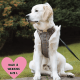 Trail & Glow Tweed Dog Harness - Colour Drops - Heritage Plaid - Bailey and Coco (UK)