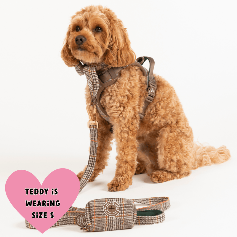 Trail & Glow Tweed Dog Harness - Colour Drops - Heritage Plaid - Bailey and Coco (UK)