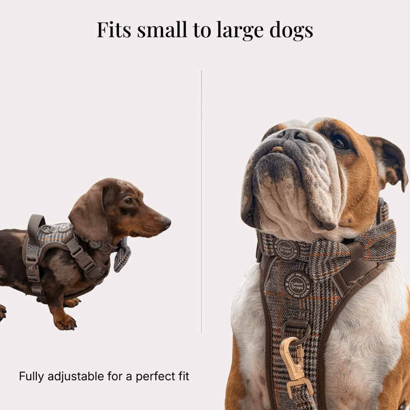 Trail & Glow Tweed Dog Harness - Colour Drops - Heritage Plaid - Bailey and Coco (UK)