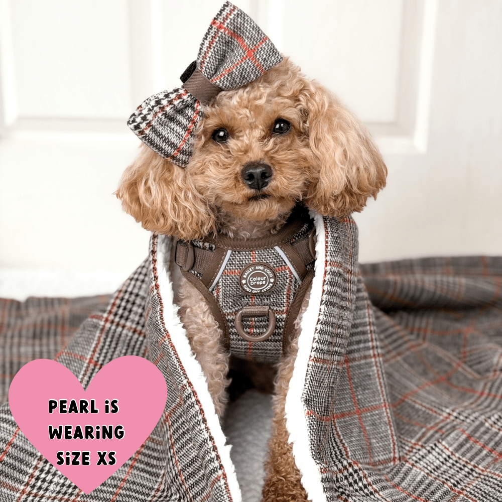 Trail & Glow Tweed Dog Harness - Colour Drops - Heritage Plaid - Bailey and Coco (UK)