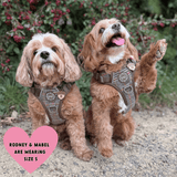 Trail & Glow Tweed Dog Harness - Colour Drops - Heritage Plaid - Bailey and Coco (UK)