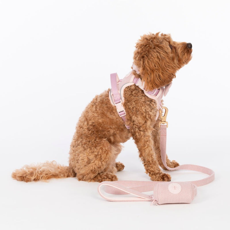 Trail & Glow Tweed Dog Harness - Colour Drops - Lavender Tweed - Bailey and Coco (UK)