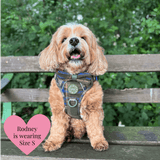 Trail & Glow Tweed Dog Harness - Colour Drops - Mayfair Tweed - Bailey and Coco (UK)