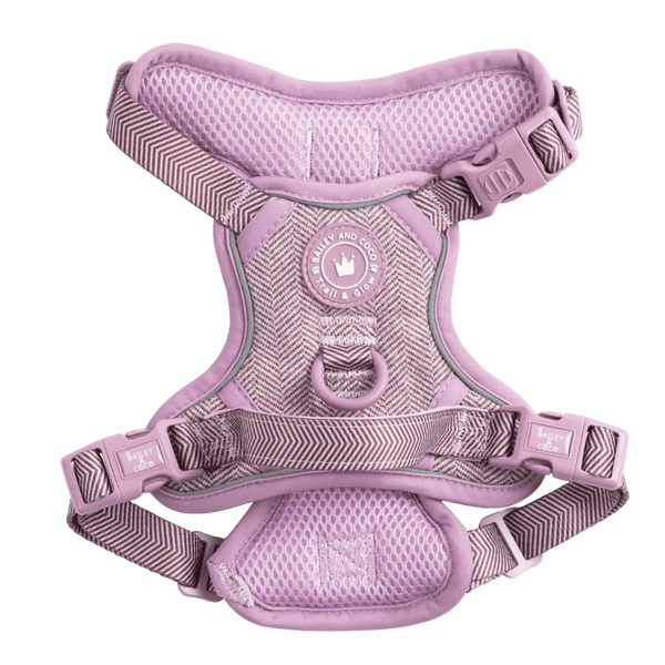 Trail & Glow Tweed Dog Harness - Colour Drops - Plum Tweed - Bailey and Coco (UK)