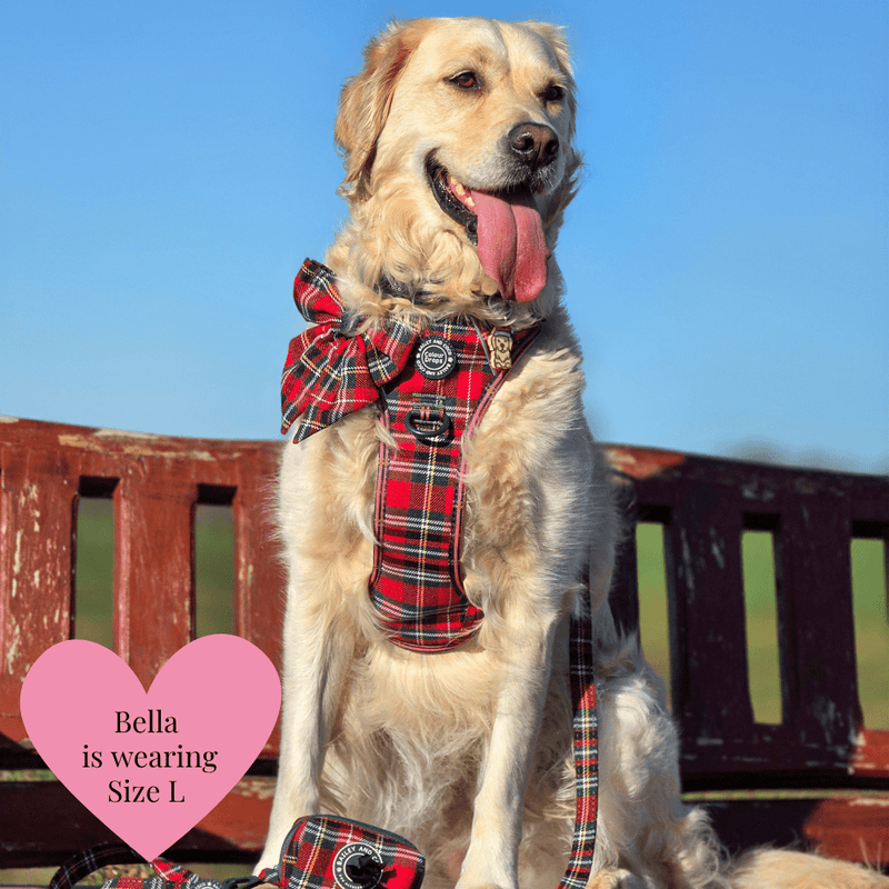 Trail & Glow Tweed Dog Harness - Colour Drops - Red Highland Tartan - Bailey and Coco (UK)