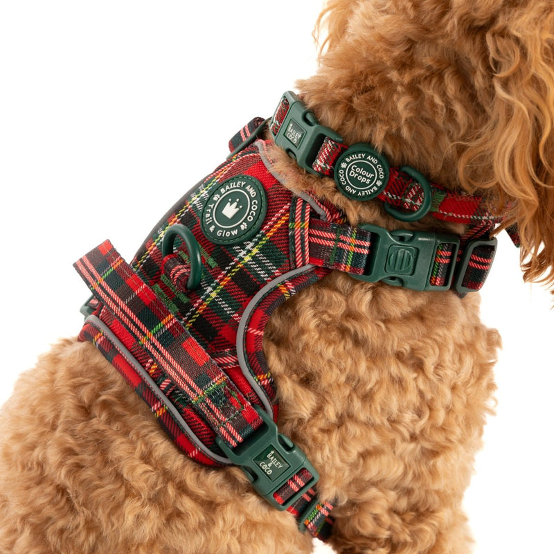 Trail & Glow Tweed Dog Harness - Colour Drops - Red Highland Tartan - Bailey and Coco (UK)