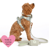 Trail & Glow Tweed Dog Harness - Colour Drops - Sage Tweed - Bailey and Coco (UK)