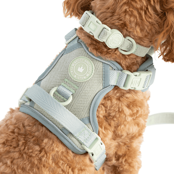 Trail & Glow Tweed Dog Harness - Colour Drops - Sage Tweed - Bailey and Coco (UK)