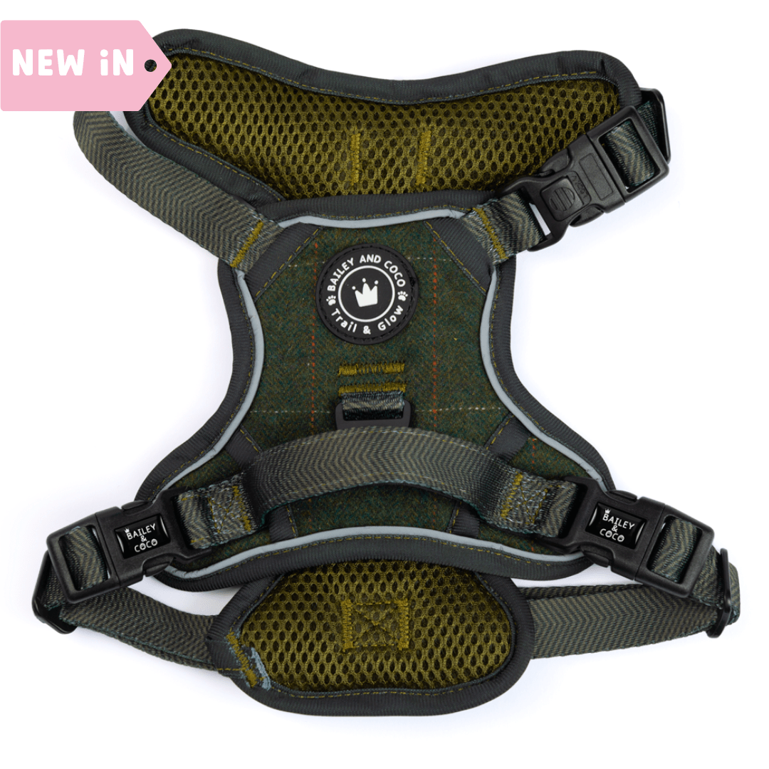 Tweed dog harness – green wool blend, adjustable no-pull design – Bailey & Coco