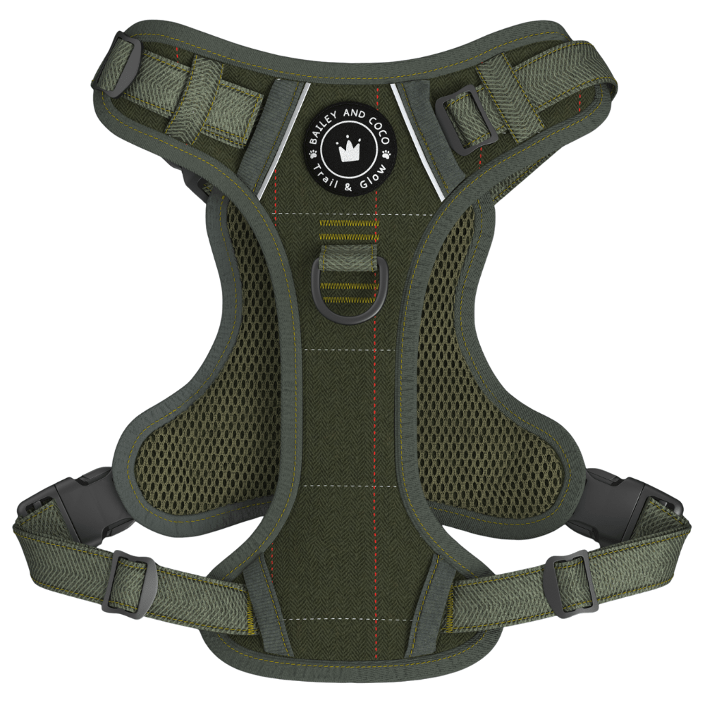 Trail & Glow Tweed Dog Harness - Forest Tweed - Bailey and Coco (UK)