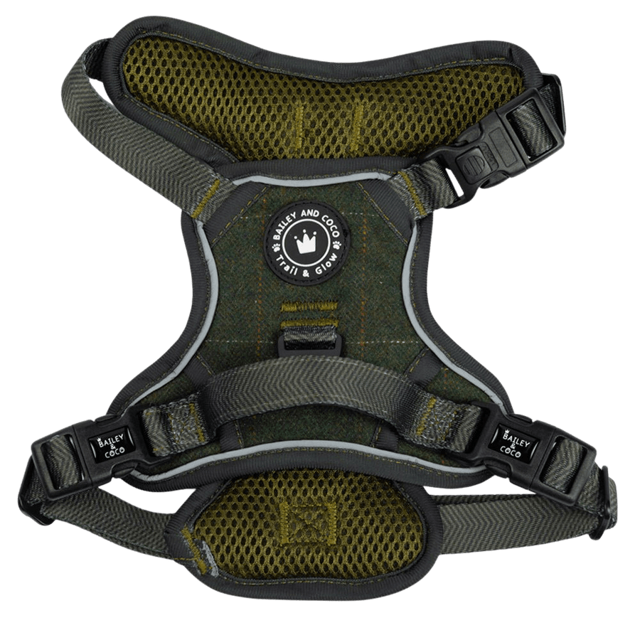 Trail & Glow Tweed Dog Harness - Forest Tweed