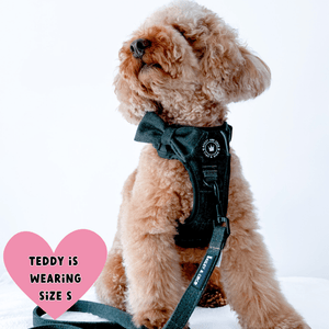 cockapoo harness size