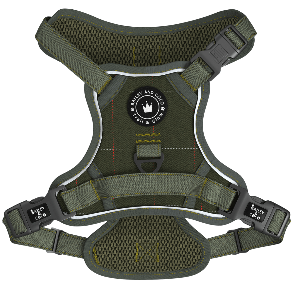 Trail & Glow Tweed Dog Harness - Forest Tweed - Bailey and Coco (UK)