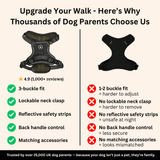 Trail & Glow Tweed Dog Harness - Forest Tweed - Bailey and Coco (UK)