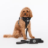 Trail & Glow Tweed Dog Harness & Lead Set - Colour Drops - Charcoal Tweed - Bailey and Coco (UK)