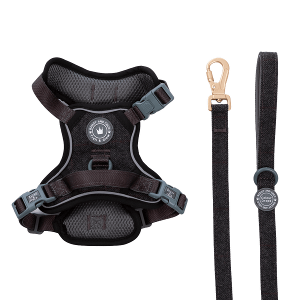 Trail & Glow Tweed Dog Harness & Lead Set - Colour Drops - Charcoal Tweed - Bailey and Coco (UK)