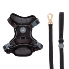 Trail & Glow Tweed Dog Harness & Lead Set - Colour Drops - Charcoal Tweed