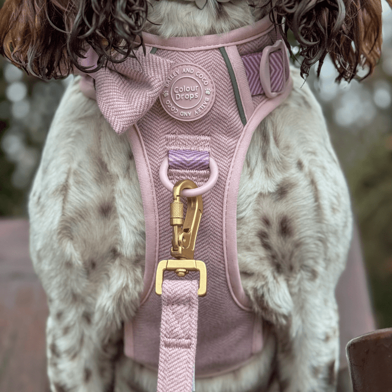Trail & Glow Tweed Dog Harness & Lead Set - Colour Drops - Lavender Tweed - Bailey and Coco (UK)
