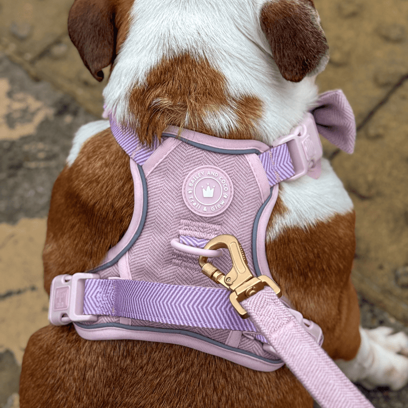 Trail & Glow Tweed Dog Harness & Lead Set - Colour Drops - Lavender Tweed - Bailey and Coco (UK)