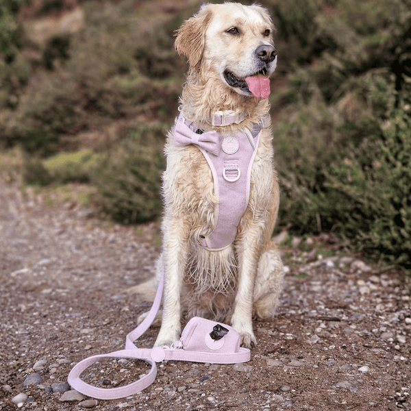 Trail & Glow Tweed Dog Harness & Lead Set - Colour Drops - Lavender Tweed - Bailey and Coco (UK)