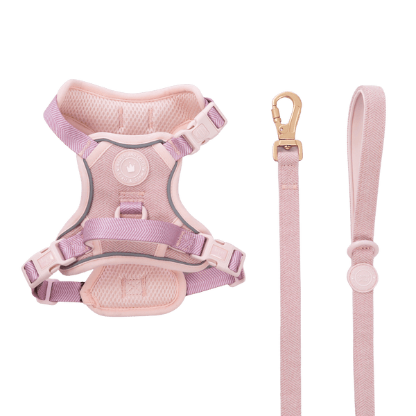 Trail & Glow Tweed Dog Harness & Lead Set - Colour Drops - Lavender Tweed - Bailey and Coco (UK)