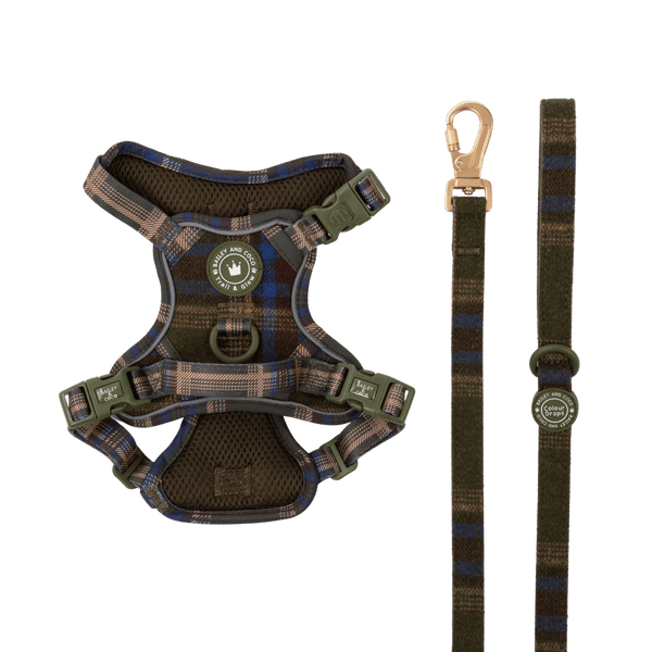Trail & Glow Tweed Dog Harness & Lead Set - Colour Drops - Mayfair Tweed - Bailey and Coco (UK)
