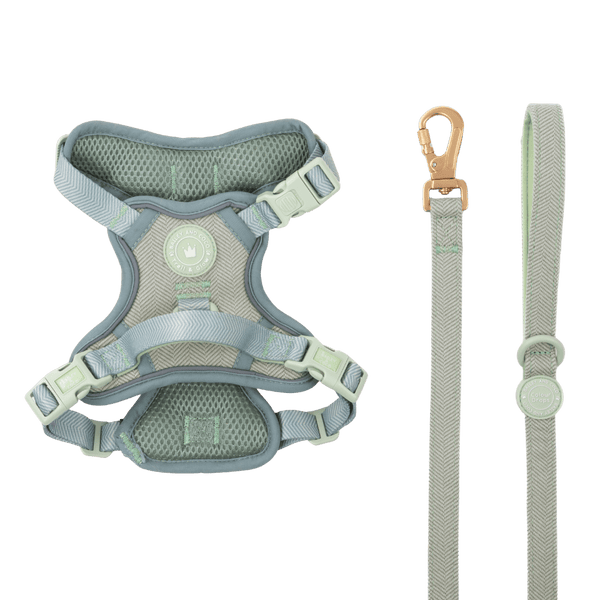 Trail & Glow Tweed Dog Harness & Lead Set - Colour Drops - Sage Tweed - Bailey and Coco (UK)