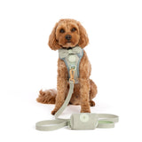 Trail & Glow Tweed Dog Harness & Lead Set - Colour Drops - Sage Tweed - Bailey and Coco (UK)