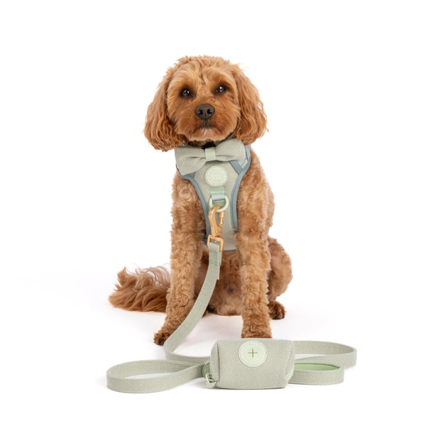 Trail & Glow Tweed Dog Harness & Lead Set - Colour Drops - Sage Tweed - Bailey and Coco (UK)