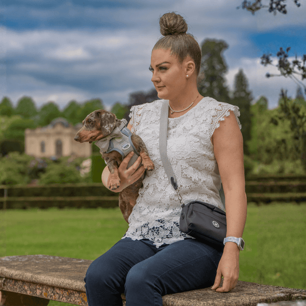 Trail & Glow Tweed Dog Harness & Lead Set - Colour Drops - Sage Tweed - Bailey and Coco (UK)